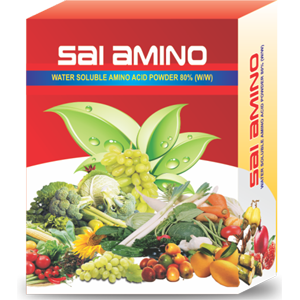 Sai Ammino