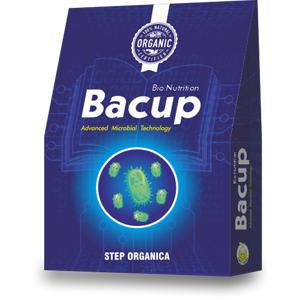 Bacup