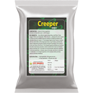 Creeper