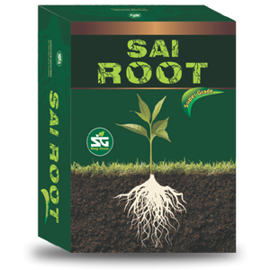 Sai Root