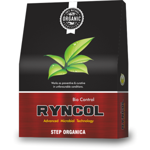 Ryncol