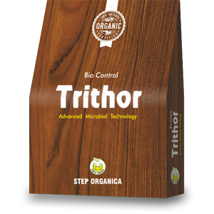 Trithor