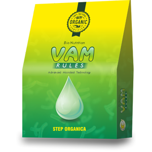 VAM Rules